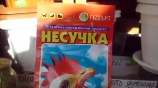 СБОРНИК РУССКИХ ПРИКОЛОВ №2 ЗА ЯНВАРЬ 2016 СМОТРЕТЬ ВСЕМ