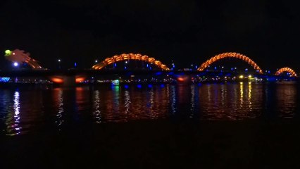 Dragon Bridge Night Lights From River Side