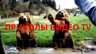 Приколы.Куда надо какать?!