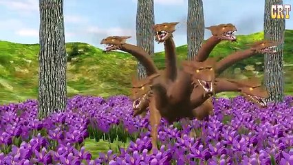 Crazy Gorilla Colourful Songs Music For Lyrics | Cartoon Kids For Children Rhymes Tv