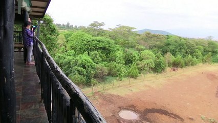 The moment Princess Elizabeth became Queen