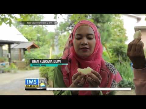 Sensasi Berlibur di Yamanashi Jepang - IMS