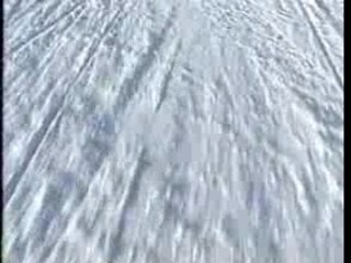 Puceaux sauvages en vacance