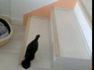 Princesse attaque-t-elle Aramis ?