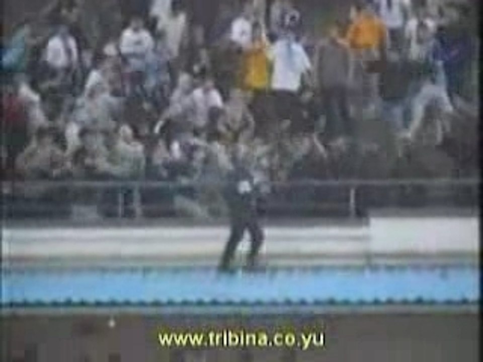 Serbian hooligans serbes