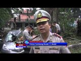 Akibat Hujan Deras Diiringi Angin Kencang, Sejumlah Pohon Tumbang di Bandung - NET 24