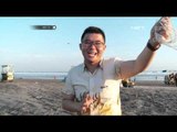 Gumuk Pasir Sebagai Lokasi Berselancar di Yogyakarta - NET12
