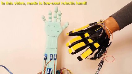 Demo Robotic Hand (Low Cost)