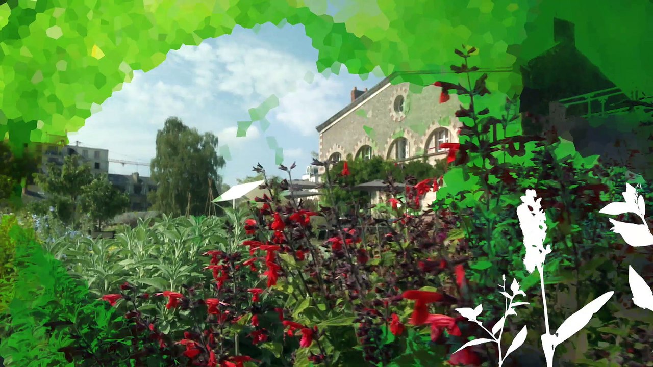 Folies Botaniques dans les Serres #5 : le Palmarium