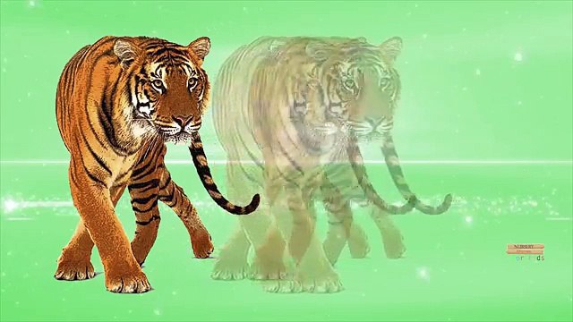 Finger Family Wild Animals Cartoons For Children Nursery Rhymes | Animals Finger Family Rhymes