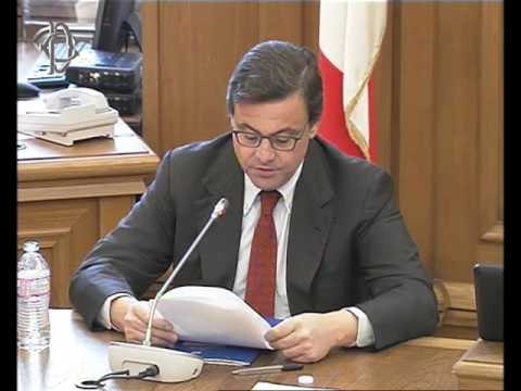 Roma - Politica commerciale nell’Ue, audizione Calenda (31.01.17)