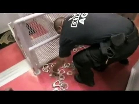 Dangerous Drives Prisoner Transport
