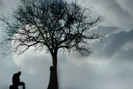 Laf anlamaz söz dinlemez oldu gönlüm Dağlar sevdamı atamadım ben