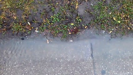 Street Lakes Detroit