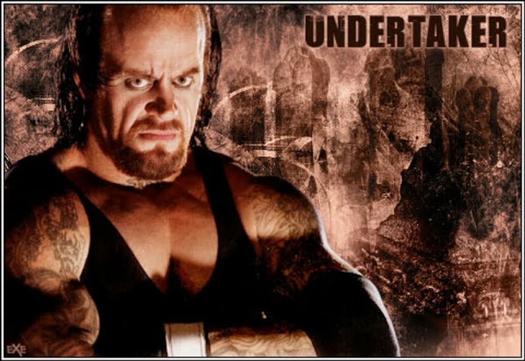 WWE Special Undertakers Gravest Match Part 2