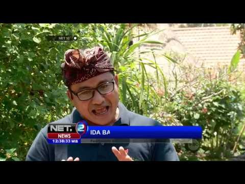 Wisata Edukasi ke Taman Kupu kupu di Gianyar - NET12