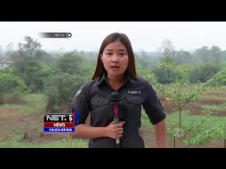 Download Video: Live Report dari Palangkaraya terkait 3 fokus penanganan - NET16