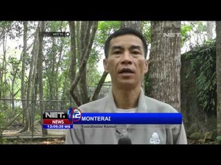 Aktivis, Chanee Kalaweit, Meminta Pemerintah Lebih Gesit Atasi Kebakaran Hutan - NET12