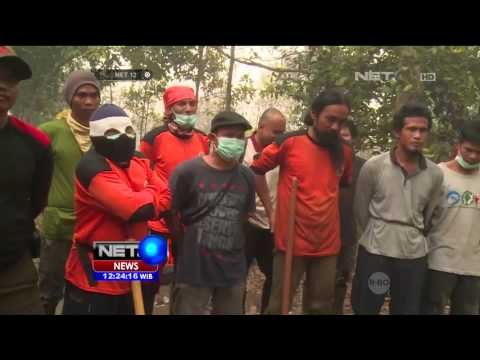 Kebakaran Melanda Kawasan Konservasi Orang Utan - NET 12