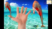 Finger Family Songs Colors Whale Shark | Sea Animals Colors Dolphin Finger Family Nursery Rhymes