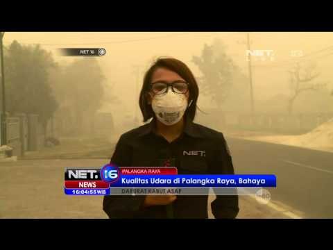 Kabar Terbaru Kabut Asap Palangkaraya - NET16