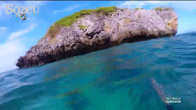 Survivor'da şok: Dev balina ile karşı karşıya kaldı!