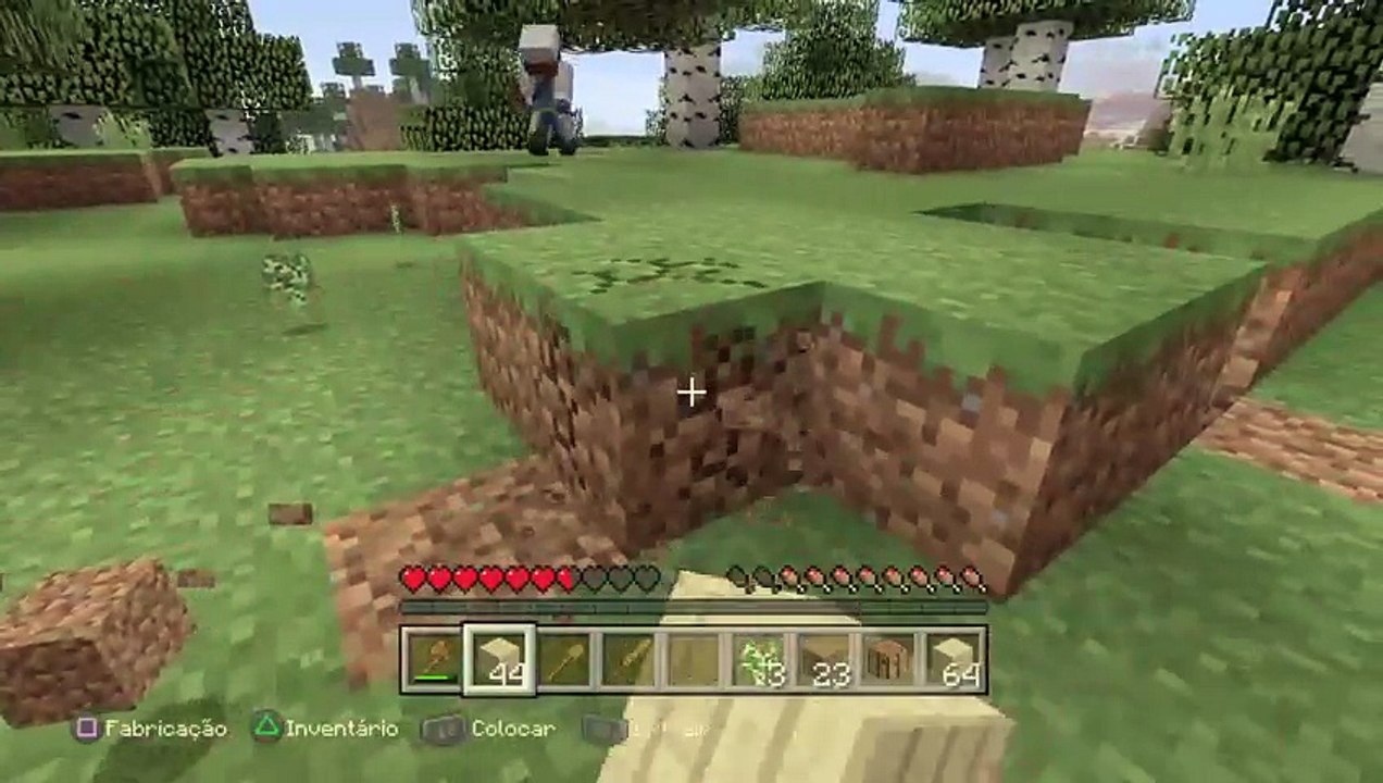 Minecraft (33)