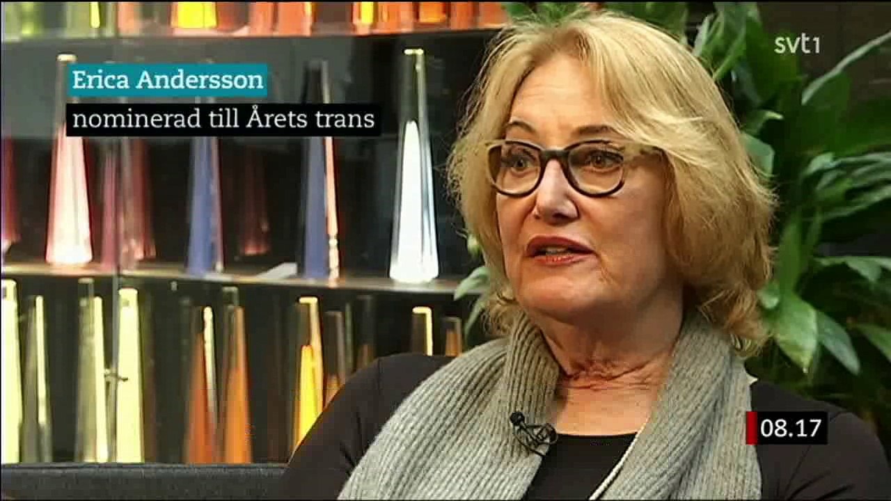 Erica Anderson interviewed on swedish tv