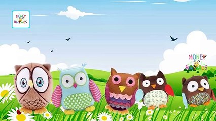 Télécharger la video: Finger Family Owl Family Nursery Rhyme | Owl Daddy Finger Nursery Rhymes & Songs For Children