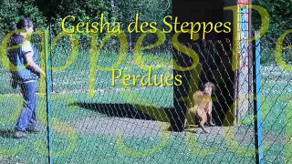 Geisha entraînements à Pradines, 2016-04-19