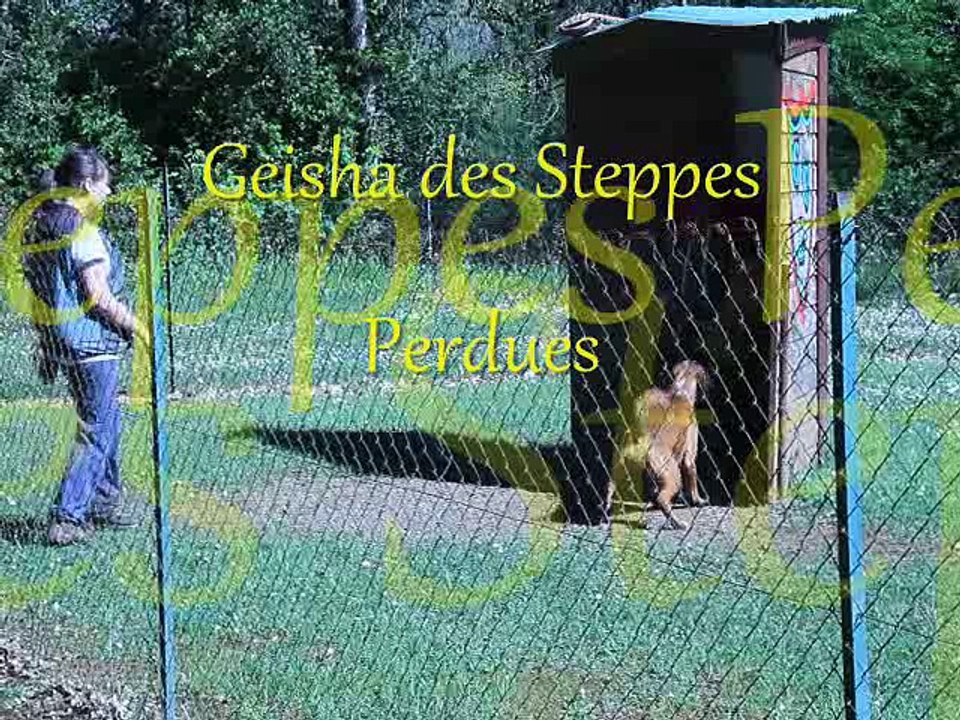 Geisha entraînements à Pradines, 2016-04-19