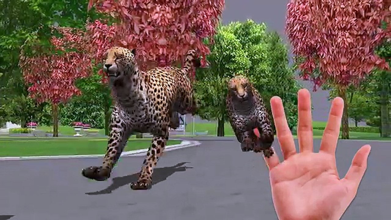 Finger Family Gorilla Lion Tiger Cheetah Bear cartoon for Kids 3D Finger Family Nursery Rhymes