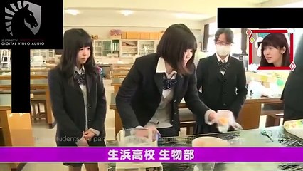A group of Japanese high schoolers have made an amazing discovery