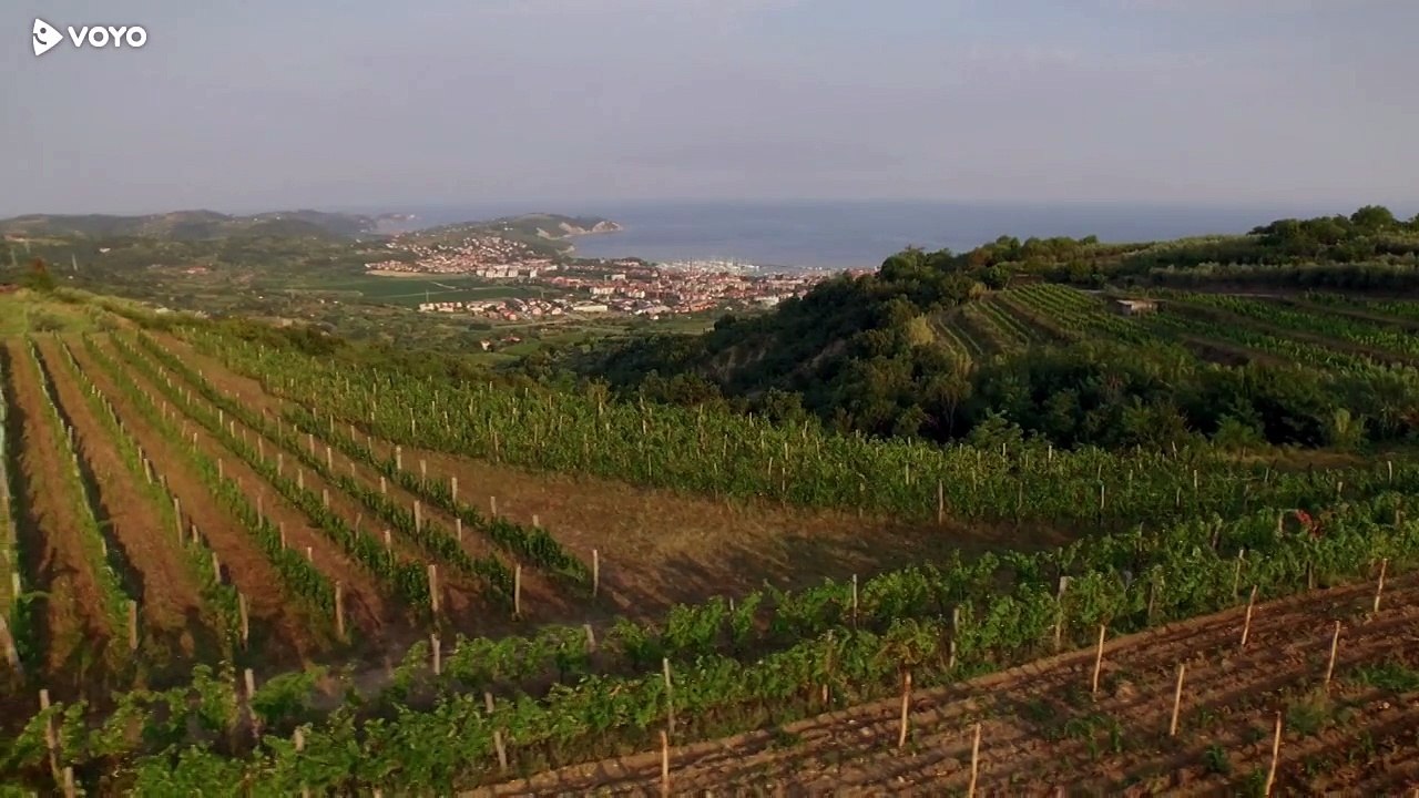 Usodno Vino S4E1