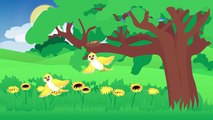 The Color Yellow Song – Yellow Song for Kids – Learn the Colors for Children Preschool