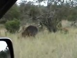 Kruger National Park Bookings, Reasons to visit Kruger Park