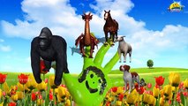 Gorilla Dragan 3d Animals Finger Family Nursery children rhymes | Gorilla,Horse,Dragon,Dog,Sheep