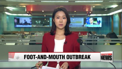 Gov't to carry out province-wide vaccinations after confirming foot-and-mouth disease outbreak