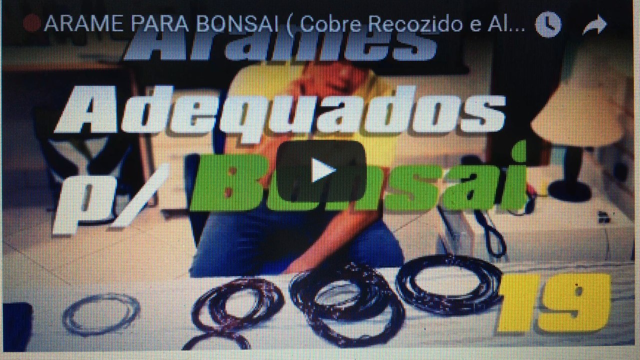 ARAME PARA BONSAI (Cobre Recozido e Alumínio)- BonsaiCurso #25