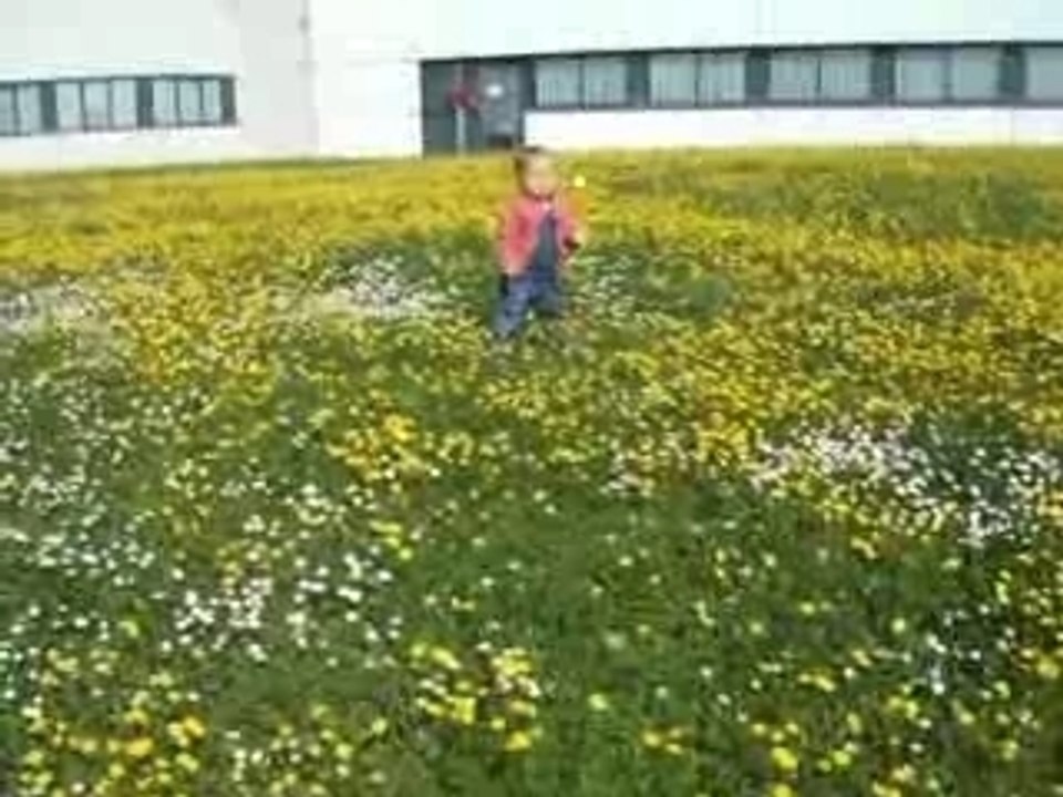 Sarah petite maison dans la prairie