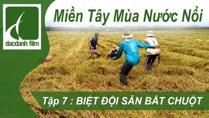 ĐẮC DANH FILM | MIỀN TÂY MÙA NƯỚC NỔI - TẬP 7 - BIỆT ĐỘI SĂN BẮT CHUỘT