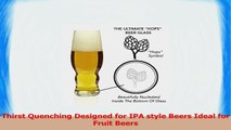 IPA Beer Glass 16oz with Nucleated Hops Symbol in Glass Set 4 c8ed145c