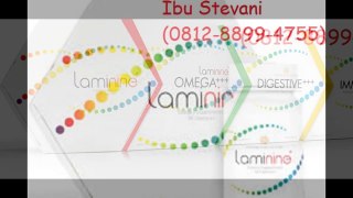 081288994755 - (Ibu Vani) Distributor Laminine Banadung, Agen Laminine Di Bandung