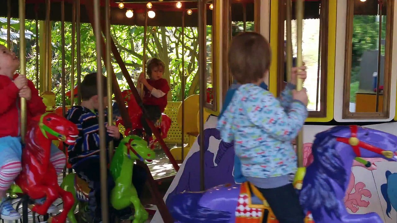 Fairyland 2017
