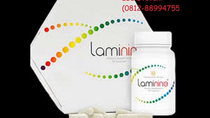 081288994755 - (Ibu Vani) distributor laminine banadung, jual herbal laminine