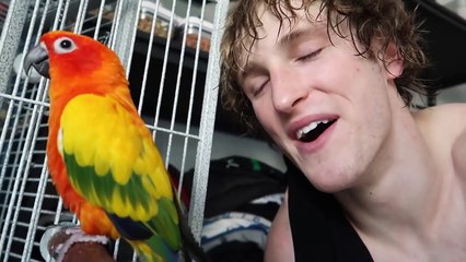 HE COULDN'T BELIEVE IT!-dUzSyzUpl28