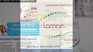 0812-8899-4755 (Ibu Stevani),Harga Suplemen Laminine,Harga Stem Cell Laminine