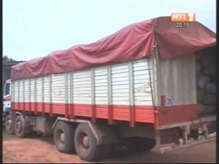 La gendarmerie nationale saisit 45 Tonnes de Cacao exporté frauduleusement vers le Ghana