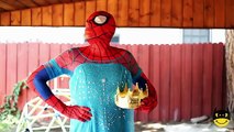 Spidermans EVIL SURPRISE! w/ Frozen Elsa Joker Girl Maleficent Pink Spidergirl! Superhero Fun IRL