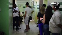 Brasil confirma 65 muertos por el mayor brote de fiebre amarilla
